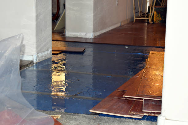 Professional Sewage Cleanup technician working in Hill, NH